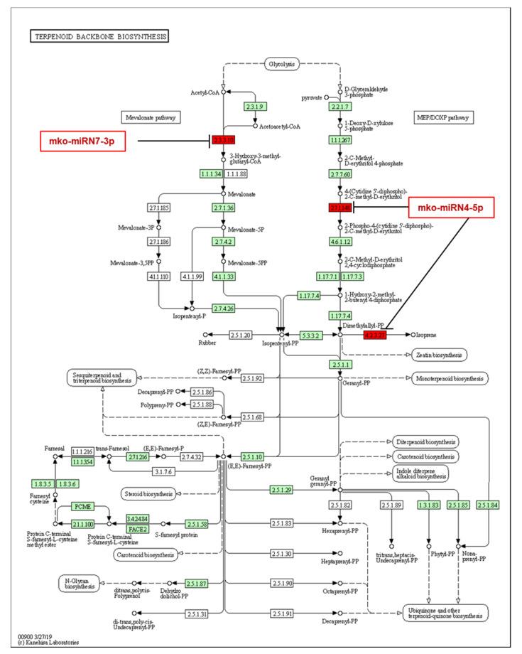 https://cdn.ncbi.nlm.nih.gov/pmc/blobs/64b5/8747174/23d29dc2955d/plants-11-00046-g008.jpg