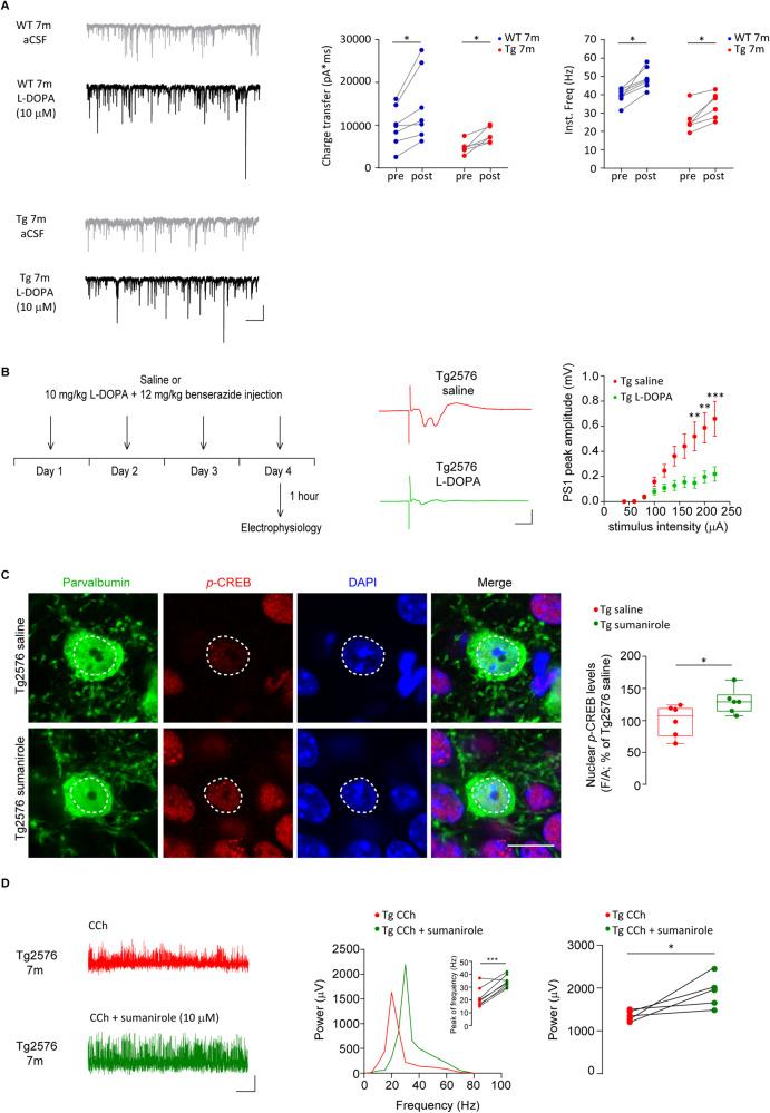 https://cdn.ncbi.nlm.nih.gov/pmc/blobs/64b6/11189820/4a50cbe5ab27/41380_2024_2408_Fig7_HTML.jpg