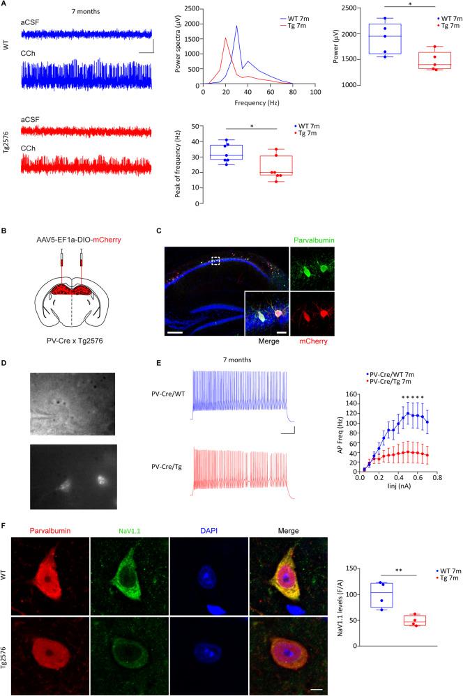 https://cdn.ncbi.nlm.nih.gov/pmc/blobs/64b6/11189820/ab287a47f95f/41380_2024_2408_Fig1_HTML.jpg