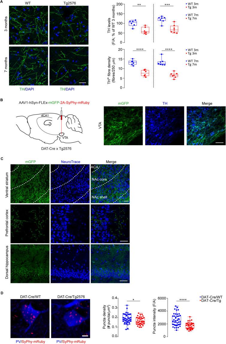 https://cdn.ncbi.nlm.nih.gov/pmc/blobs/64b6/11189820/b85fe78f85e0/41380_2024_2408_Fig4_HTML.jpg