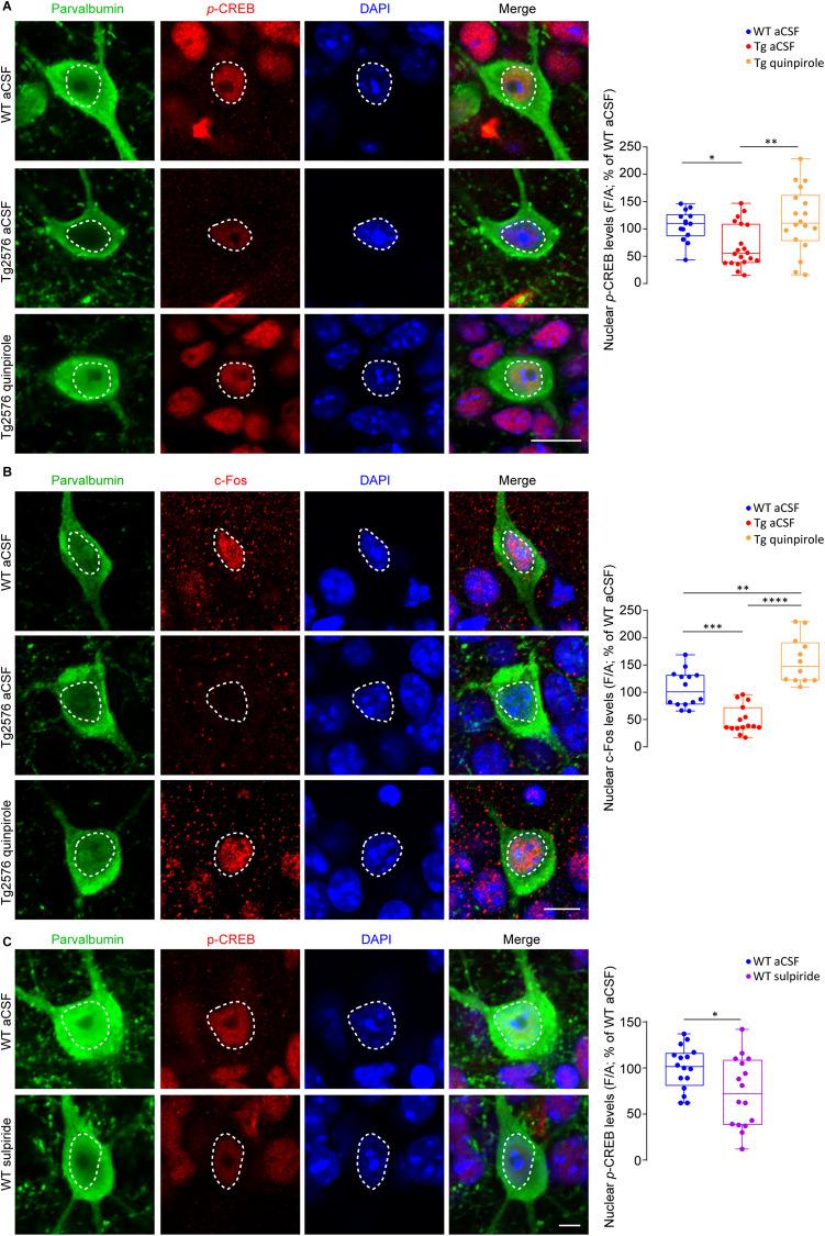 https://cdn.ncbi.nlm.nih.gov/pmc/blobs/64b6/11189820/fd4ad20d0364/41380_2024_2408_Fig6_HTML.jpg