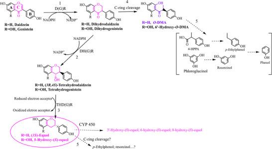 https://cdn.ncbi.nlm.nih.gov/pmc/blobs/64b7/11605795/73acd8f0006a/MNFR-68-2400526-g008.jpg