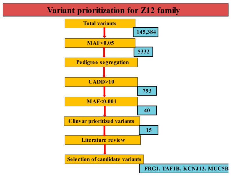 https://cdn.ncbi.nlm.nih.gov/pmc/blobs/64b8/10217150/db921a208c48/children-10-00902-g002.jpg