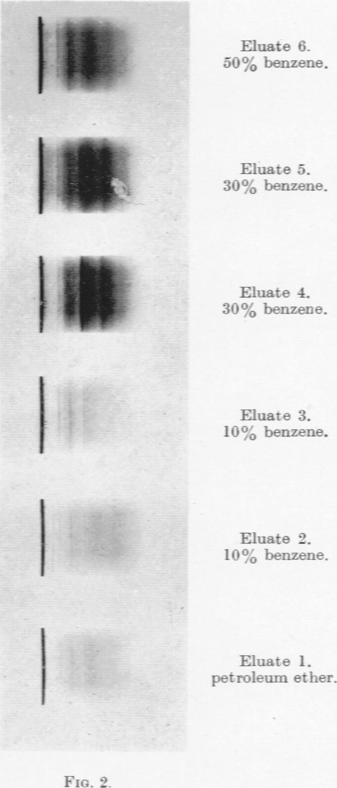 https://cdn.ncbi.nlm.nih.gov/pmc/blobs/64b9/2007564/9f3fb93ca523/brjcancer00406-0180-b.jpg