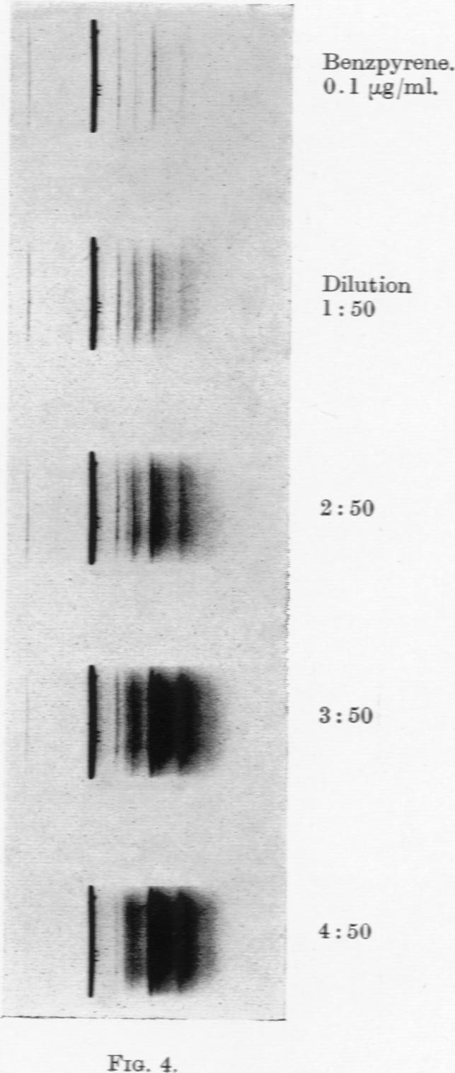 https://cdn.ncbi.nlm.nih.gov/pmc/blobs/64b9/2007564/d948bb2992cf/brjcancer00406-0181-b.jpg
