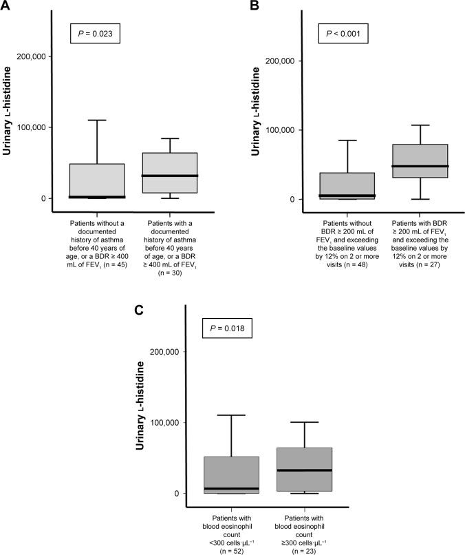 https://cdn.ncbi.nlm.nih.gov/pmc/blobs/64bd/5993031/af85f4d3550b/copd-13-1809Fig4.jpg