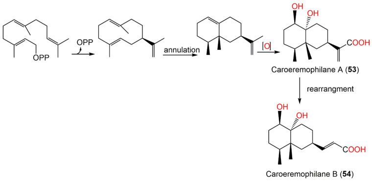 https://cdn.ncbi.nlm.nih.gov/pmc/blobs/64be/9230109/5ccb821f0f29/plants-11-01598-sch003.jpg