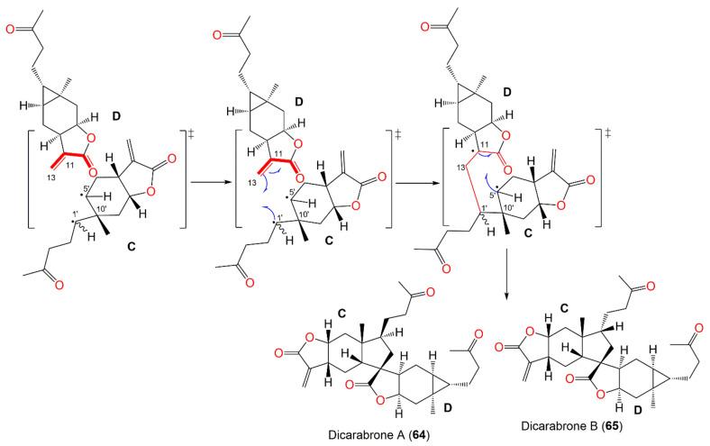 https://cdn.ncbi.nlm.nih.gov/pmc/blobs/64be/9230109/b758c2c7d3a8/plants-11-01598-sch005.jpg
