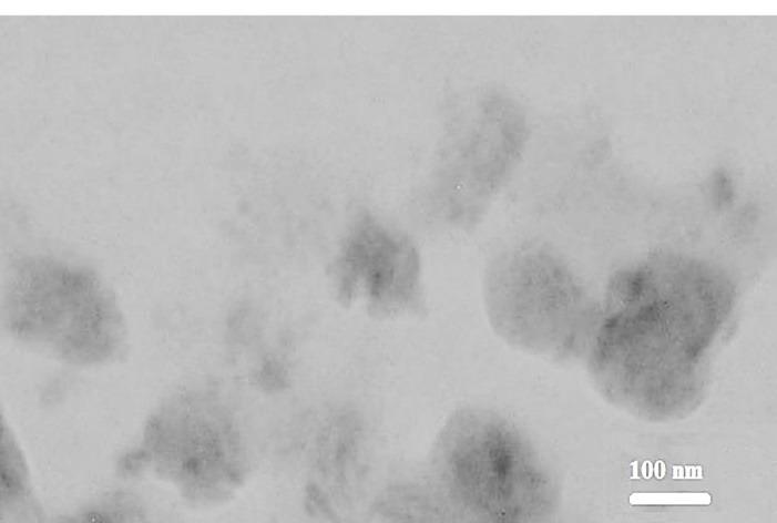 https://cdn.ncbi.nlm.nih.gov/pmc/blobs/64bf/10278217/c45076476fac/apb-13-301-g001.jpg