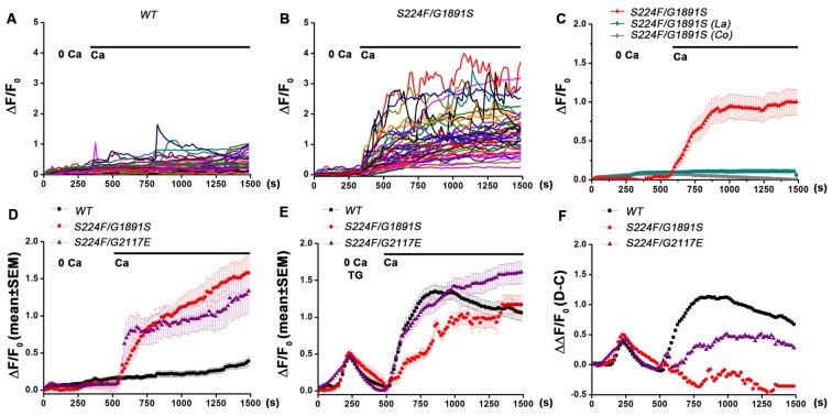 https://cdn.ncbi.nlm.nih.gov/pmc/blobs/64c0/5398029/f470b05a907d/fnmol-10-00111-g0001.jpg