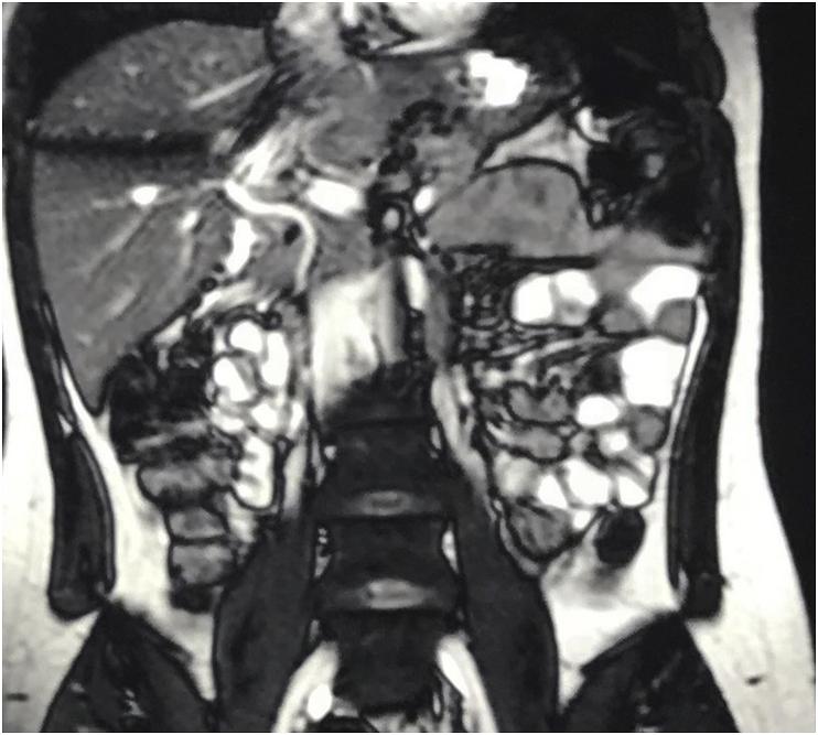 https://cdn.ncbi.nlm.nih.gov/pmc/blobs/64c0/7242978/368a8310a936/gr3.jpg