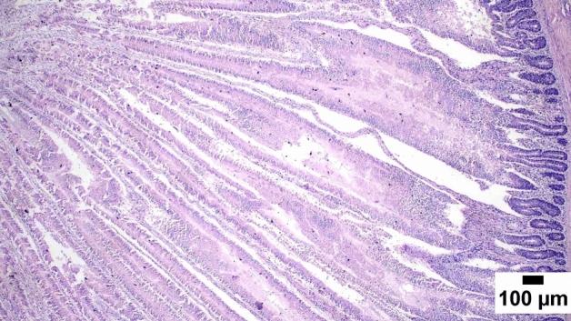 https://cdn.ncbi.nlm.nih.gov/pmc/blobs/64c3/10079847/d3022ebcc059/41598_2023_32685_Fig5_HTML.jpg