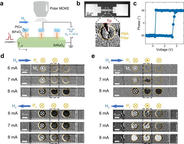https://cdn.ncbi.nlm.nih.gov/pmc/blobs/64c3/11252438/d56a8271208c/41467_2024_50372_Fig3_HTML.jpg