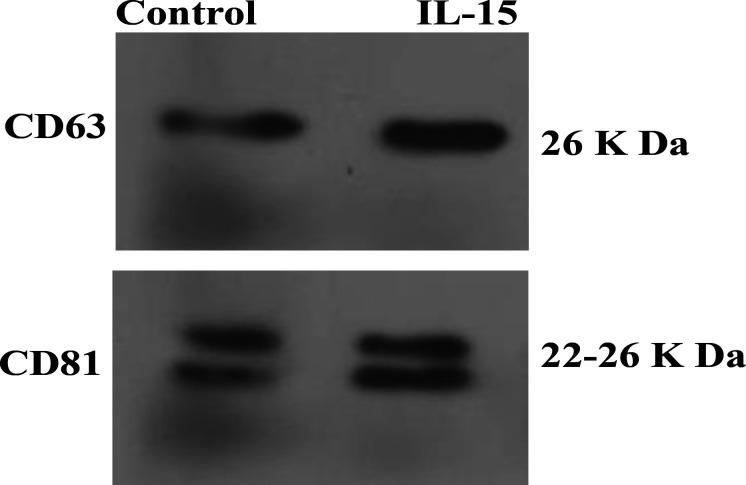 https://cdn.ncbi.nlm.nih.gov/pmc/blobs/64c4/12368716/a408a9cbdda1/IJHOSCR-19-126-g002.jpg