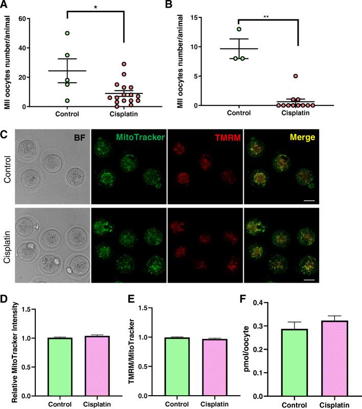 https://cdn.ncbi.nlm.nih.gov/pmc/blobs/64c4/8111953/5c520f6d5b39/13048_2021_817_Fig4_HTML.jpg