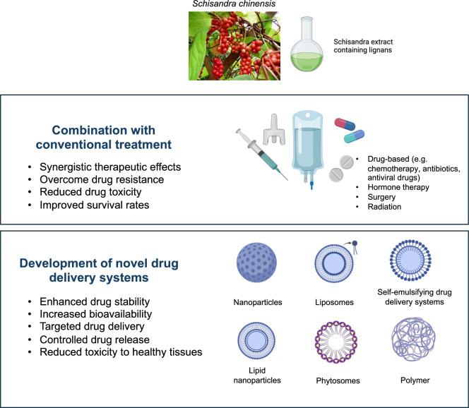 https://cdn.ncbi.nlm.nih.gov/pmc/blobs/64c5/11984061/8ae4ae89c812/13020_2025_1096_Fig4_HTML.jpg