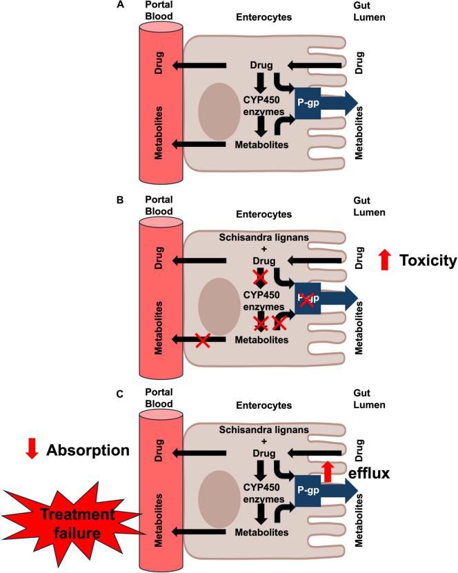 https://cdn.ncbi.nlm.nih.gov/pmc/blobs/64c5/11984061/a04cf5c549e3/13020_2025_1096_Fig3_HTML.jpg