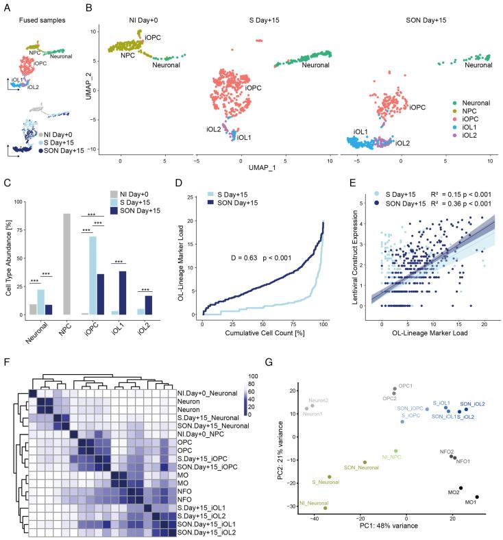 https://cdn.ncbi.nlm.nih.gov/pmc/blobs/64c5/8773672/62fc4c30d6bc/cells-11-00241-g003.jpg