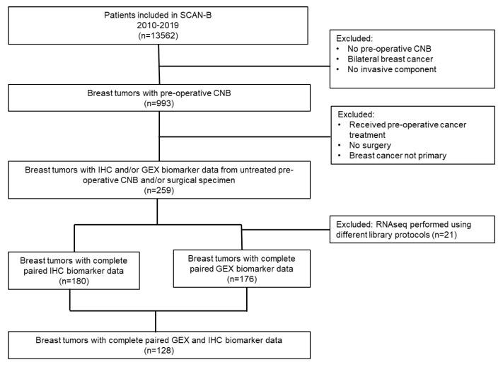 https://cdn.ncbi.nlm.nih.gov/pmc/blobs/64c5/9406531/929299313415/cancers-14-04000-g001.jpg