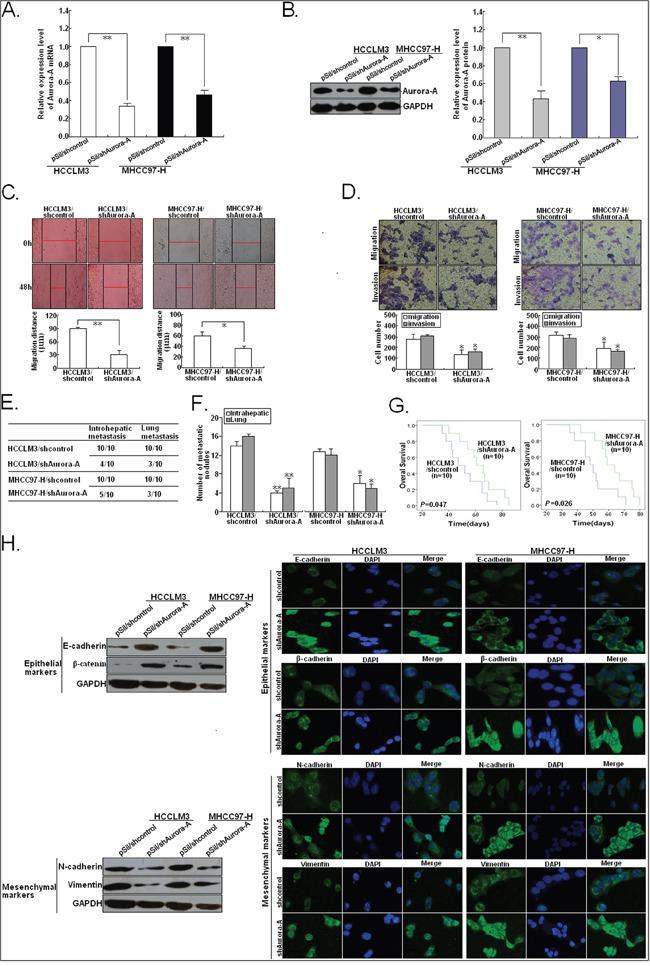 https://cdn.ncbi.nlm.nih.gov/pmc/blobs/64c6/5363640/ad95fbeadf0f/oncotarget-07-78009-g006.jpg
