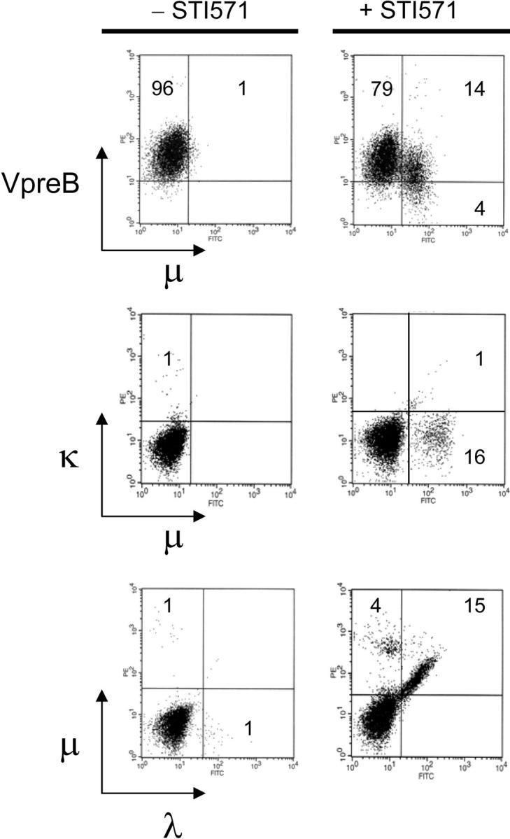https://cdn.ncbi.nlm.nih.gov/pmc/blobs/64c9/2213306/92caaaec5f4d/20031637f4.jpg