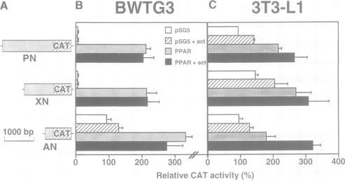 https://cdn.ncbi.nlm.nih.gov/pmc/blobs/64c9/452277/24f812661cac/emboj00019-0220-a.jpg