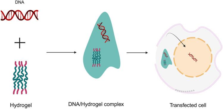 https://cdn.ncbi.nlm.nih.gov/pmc/blobs/64ca/11166210/3c9a206bd891/fbioe-12-1384326-g005.jpg