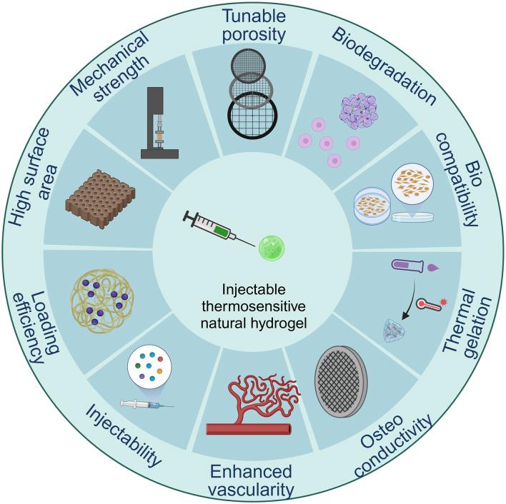 https://cdn.ncbi.nlm.nih.gov/pmc/blobs/64ca/11166210/bae8382251e3/fbioe-12-1384326-g003.jpg