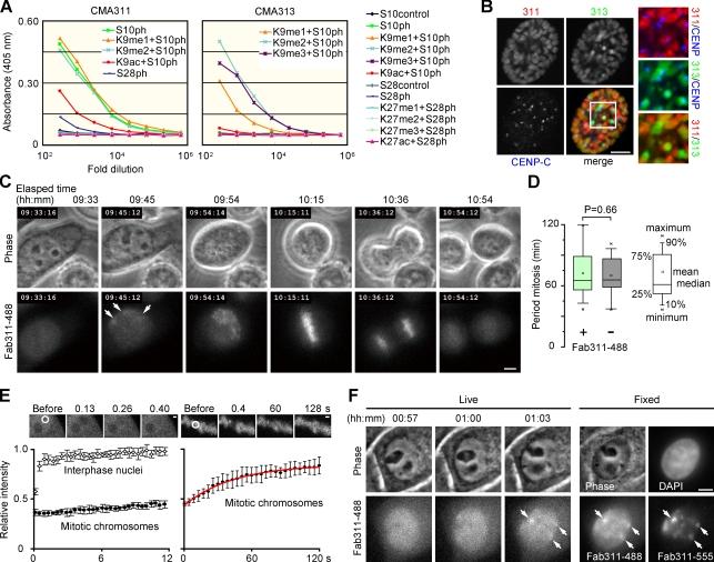 https://cdn.ncbi.nlm.nih.gov/pmc/blobs/64ca/2806314/774ed4943bbb/JCB_200904137_RGB_Fig1.jpg