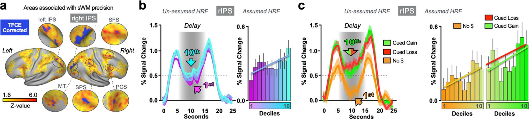 https://cdn.ncbi.nlm.nih.gov/pmc/blobs/64cc/9264479/c51ddee2d05b/nihms-1810855-f0006.jpg