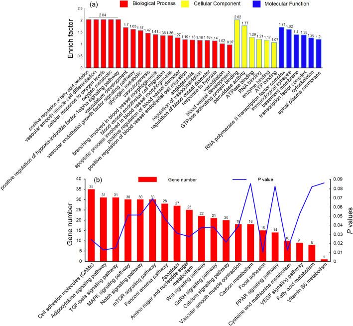 https://cdn.ncbi.nlm.nih.gov/pmc/blobs/64d0/8091548/4c34336054f8/40104_2021_582_Fig4_HTML.jpg