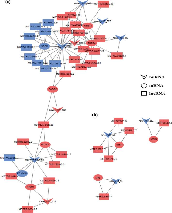 https://cdn.ncbi.nlm.nih.gov/pmc/blobs/64d0/8091548/6bdfc01f45ed/40104_2021_582_Fig6_HTML.jpg