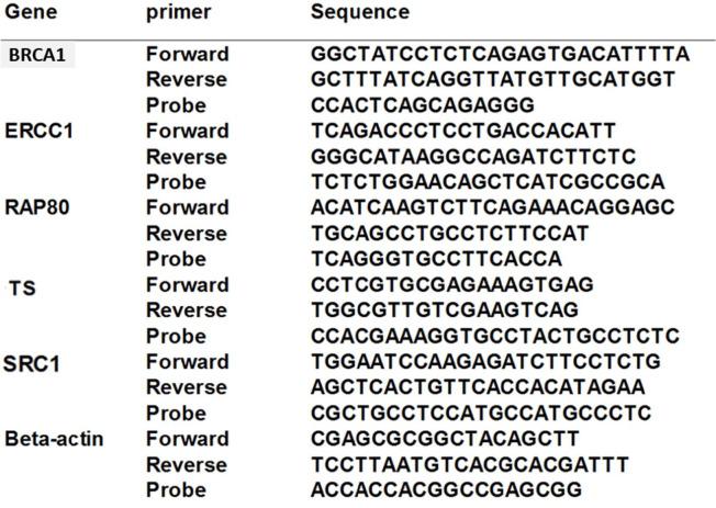 https://cdn.ncbi.nlm.nih.gov/pmc/blobs/64d1/9315614/7047683ad844/curroncol-29-00379-g002.jpg