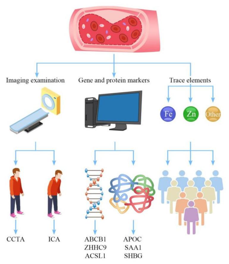 https://cdn.ncbi.nlm.nih.gov/pmc/blobs/64d1/9409135/35844c4b8596/ijms-23-08939-g001.jpg