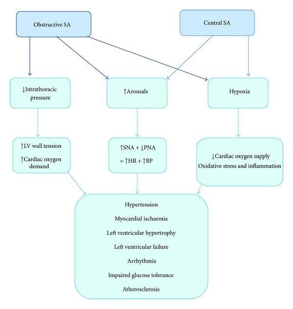 https://cdn.ncbi.nlm.nih.gov/pmc/blobs/64d2/3877588/2b70a5c9774f/CRP2013-356280.002.jpg