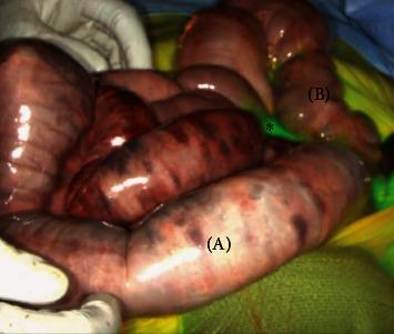 https://cdn.ncbi.nlm.nih.gov/pmc/blobs/64d2/8844395/5079ea91316d/CRIS2022-5459774.006.jpg