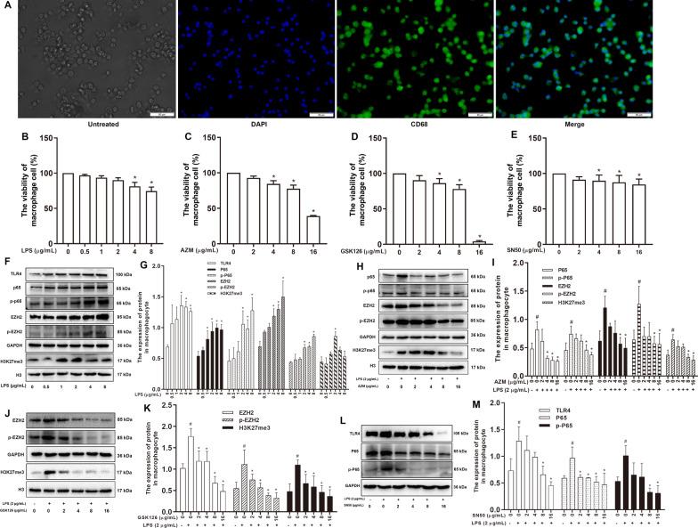 https://cdn.ncbi.nlm.nih.gov/pmc/blobs/64d2/9872437/202c21c4c7a8/13148_2023_1430_Fig4_HTML.jpg