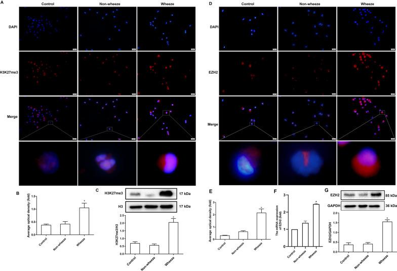 https://cdn.ncbi.nlm.nih.gov/pmc/blobs/64d2/9872437/3ac297171e3f/13148_2023_1430_Fig2_HTML.jpg