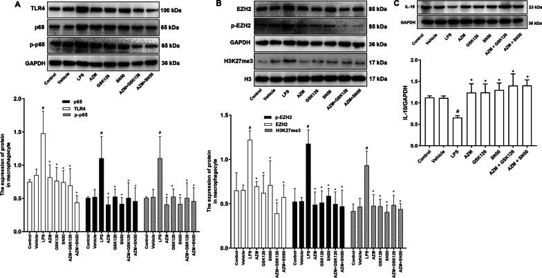 https://cdn.ncbi.nlm.nih.gov/pmc/blobs/64d2/9872437/ab73217a056d/13148_2023_1430_Fig6_HTML.jpg
