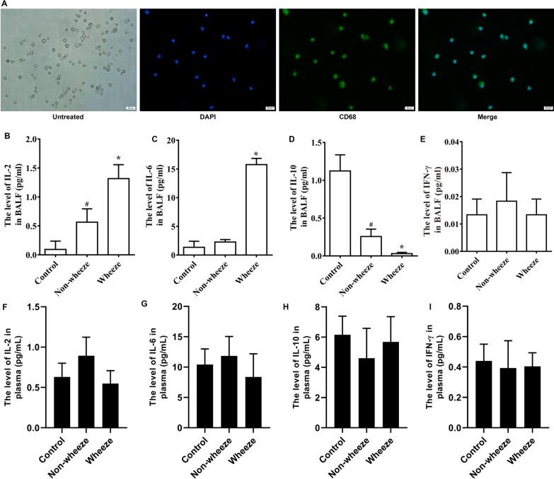 https://cdn.ncbi.nlm.nih.gov/pmc/blobs/64d2/9872437/c5e705783843/13148_2023_1430_Fig1_HTML.jpg