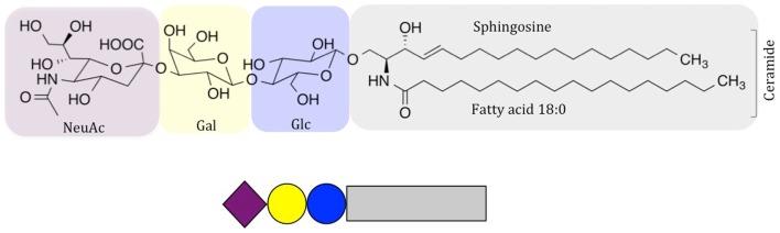 https://cdn.ncbi.nlm.nih.gov/pmc/blobs/64d4/4104838/30d3de1a311c/fimmu-05-00325-g001.jpg