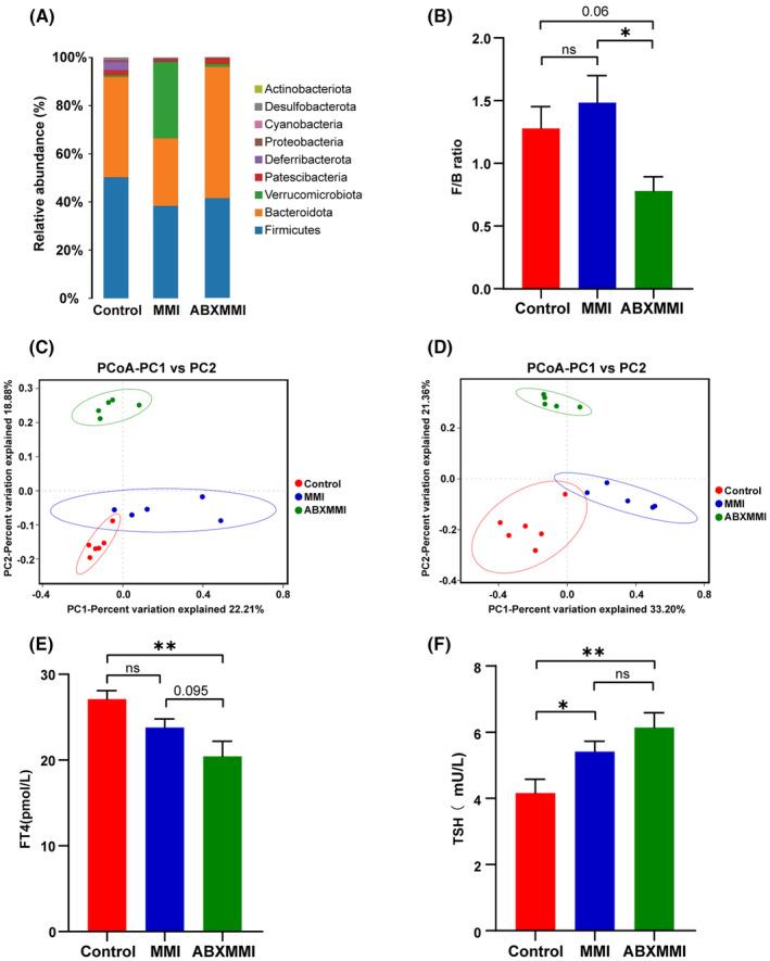 https://cdn.ncbi.nlm.nih.gov/pmc/blobs/64d5/11887603/7915948aac40/FSB2-39-e70445-g006.jpg
