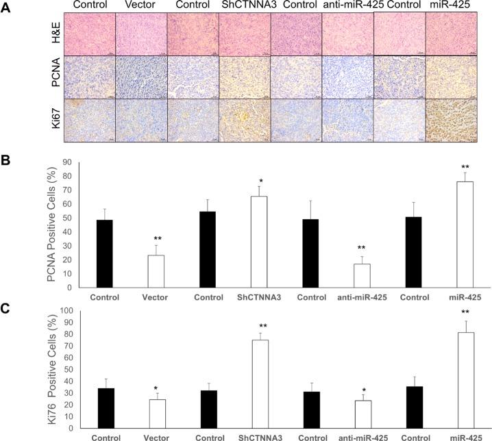 https://cdn.ncbi.nlm.nih.gov/pmc/blobs/64d5/4884977/5c5a7f1dd9c0/oncotarget-07-8078-g009.jpg