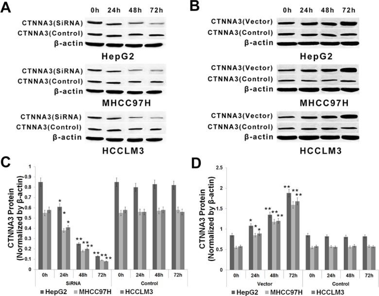 https://cdn.ncbi.nlm.nih.gov/pmc/blobs/64d5/4884977/7c6e8845ac72/oncotarget-07-8078-g001.jpg