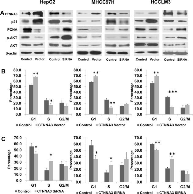 https://cdn.ncbi.nlm.nih.gov/pmc/blobs/64d5/4884977/b0d61c379bf3/oncotarget-07-8078-g003.jpg