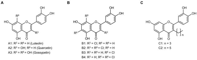https://cdn.ncbi.nlm.nih.gov/pmc/blobs/64d7/10525374/6260aa777ded/antioxidants-12-01744-g001.jpg