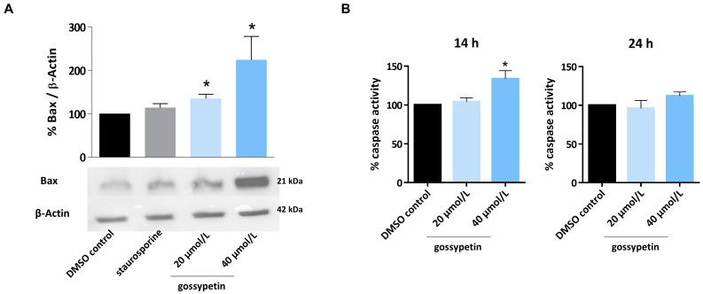 https://cdn.ncbi.nlm.nih.gov/pmc/blobs/64d7/10525374/6ae6cf6746b4/antioxidants-12-01744-g005.jpg