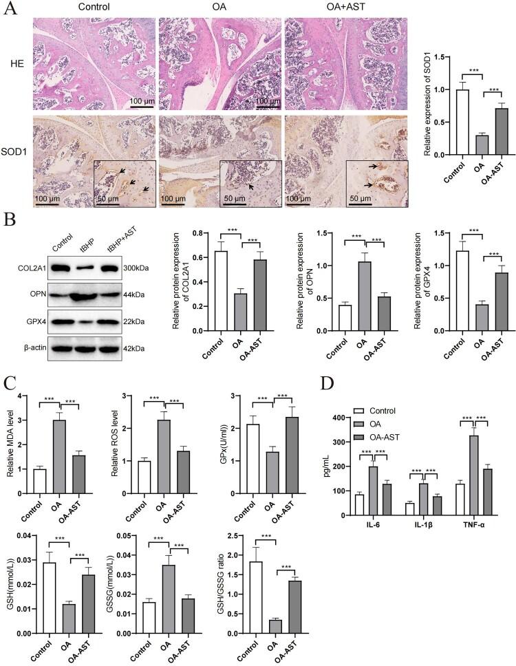 https://cdn.ncbi.nlm.nih.gov/pmc/blobs/64d7/11536701/6a21b45f8fac/YRER_A_2422271_F0006_OC.jpg