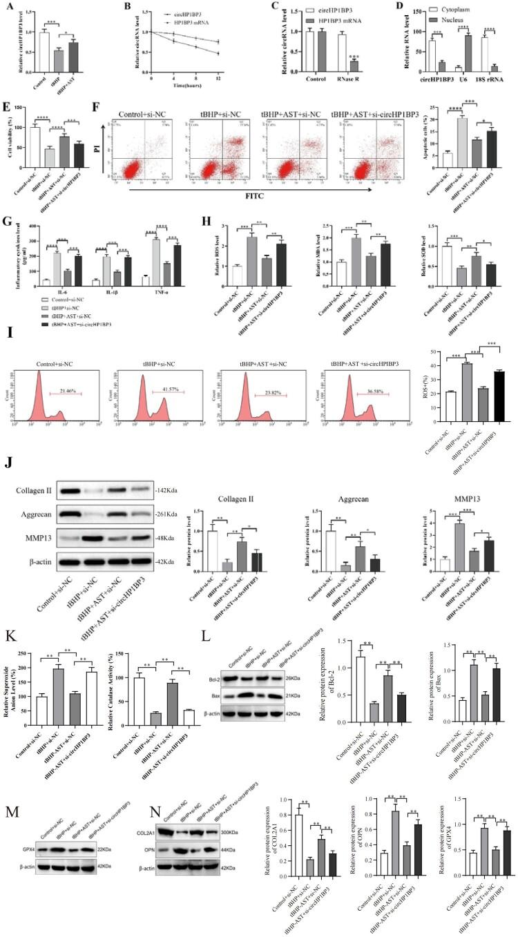 https://cdn.ncbi.nlm.nih.gov/pmc/blobs/64d7/11536701/a5b869623c92/YRER_A_2422271_F0002_OC.jpg