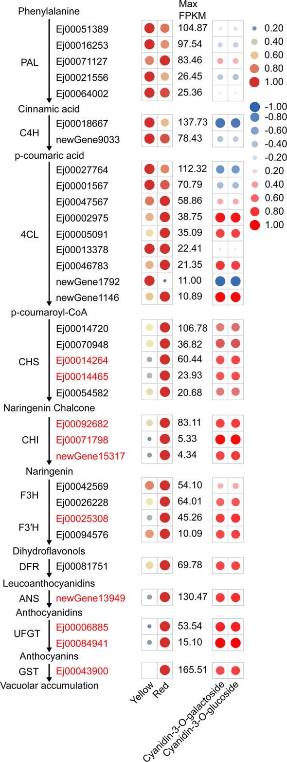 https://cdn.ncbi.nlm.nih.gov/pmc/blobs/64d8/12213514/4422f699ff68/fpls-16-1615281-g002.jpg